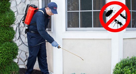 Doğanyurt Haşere İlaçlama böcek ilaçlama ve haşere kontrolü — ilaclama-tr.com